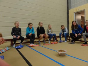 sinterklaas mini's 2015 12