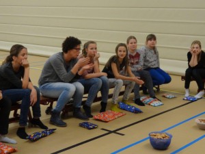 sinterklaas mini's 2015 4